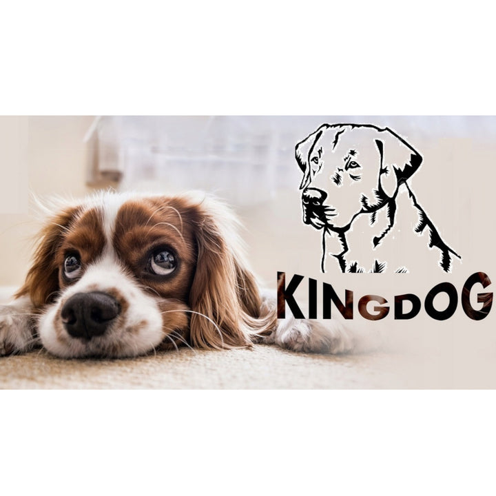 Veľký pelech pre psov, mačky 115 x 95 Svetlosivá - Kingdog veľkosť XL