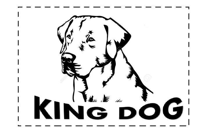 Veľký pelech pre psov, mačky 115 x 95 Svetlosivá - Kingdog veľkosť XL