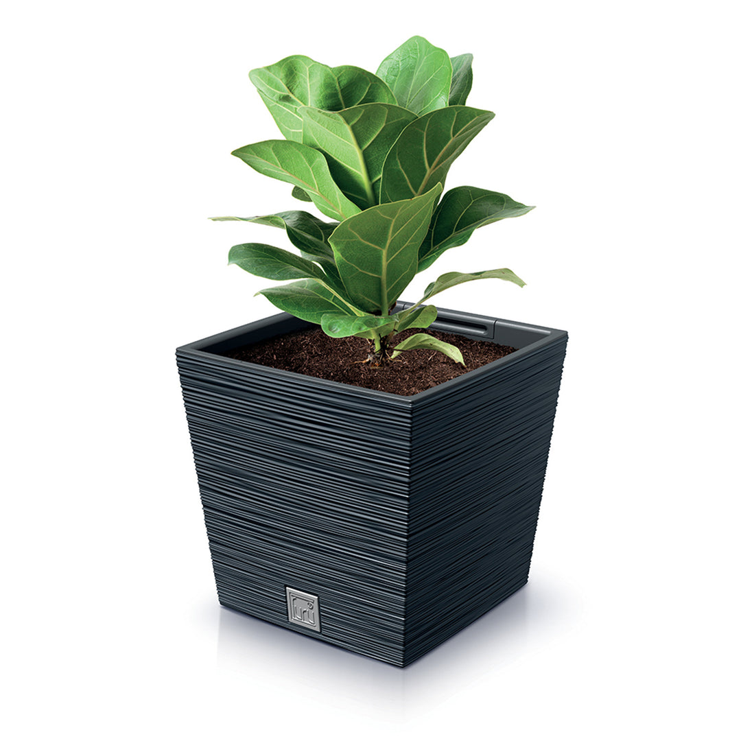 Prosperplast Furu Square Low kvetináč s vložkou DFS300-S433 - antracitová farba
