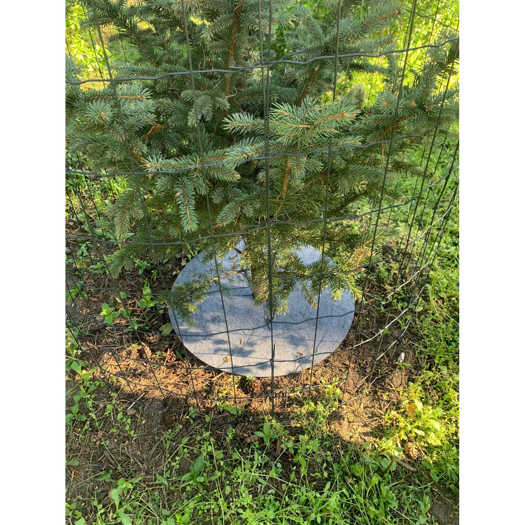 Súprava kotúčov proti burine Bertoni, 6 kusov, 60 cm, sivá
