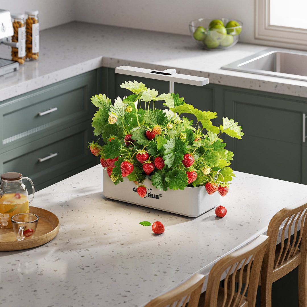 Inteligentný systém na vnútorné pestovanie rastlín GreenBlue, kvetináč SMART, objem 4 l, 220–240 V AC, 50/60 Hz, 0,4 A, GB133 + sada príslušenstva