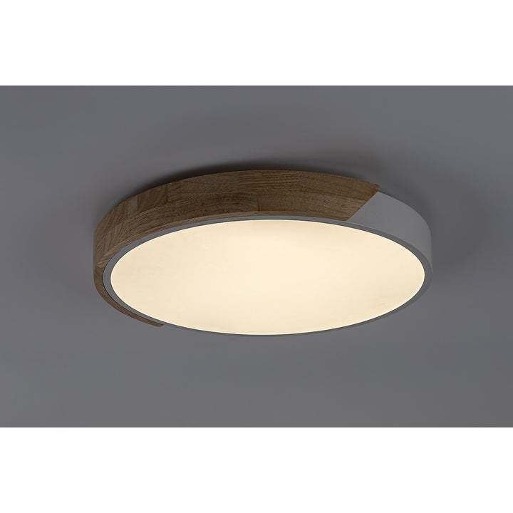 Stropné svietidlo Rabalux Maple2 LED 24 W IP20, biela matná, 3000 K, 71417