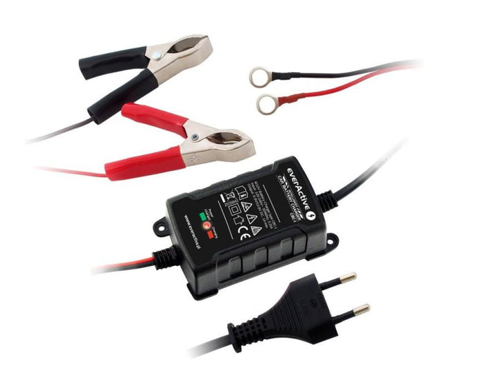 Nabíjačka nabíjačky 6V / 12V everActive CBC-1