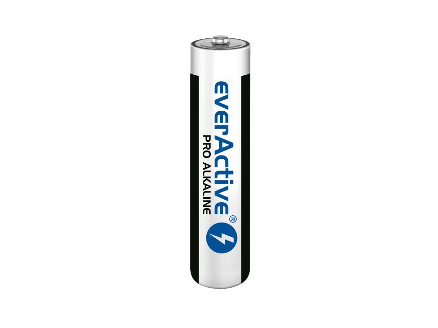 10x BATÉRIE LR03 AAA ALKALICKÉ BATÉRIE EverActive