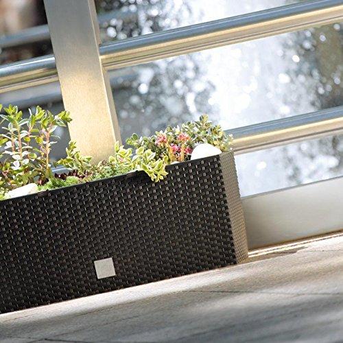 Kvetináč s vložkou Prosperplast Rato DRTC500 440U umbra 17L