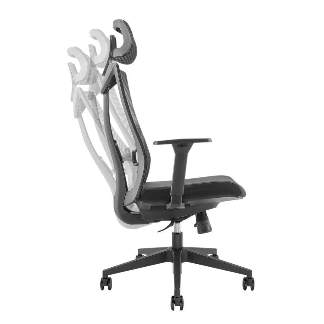 Ergo Office ergonomická stolička s vysokým operadlom, max. 150 kg, ER-414