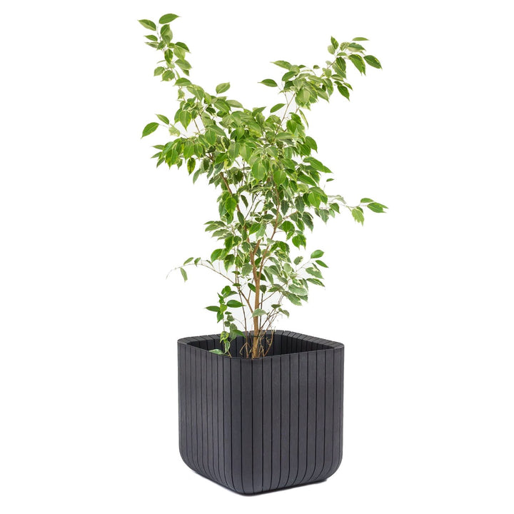 Kvetináč Keter odolný voči poškodeniu a škodlivým atmosférickým vplyvom Cube Wood Planter L antracit