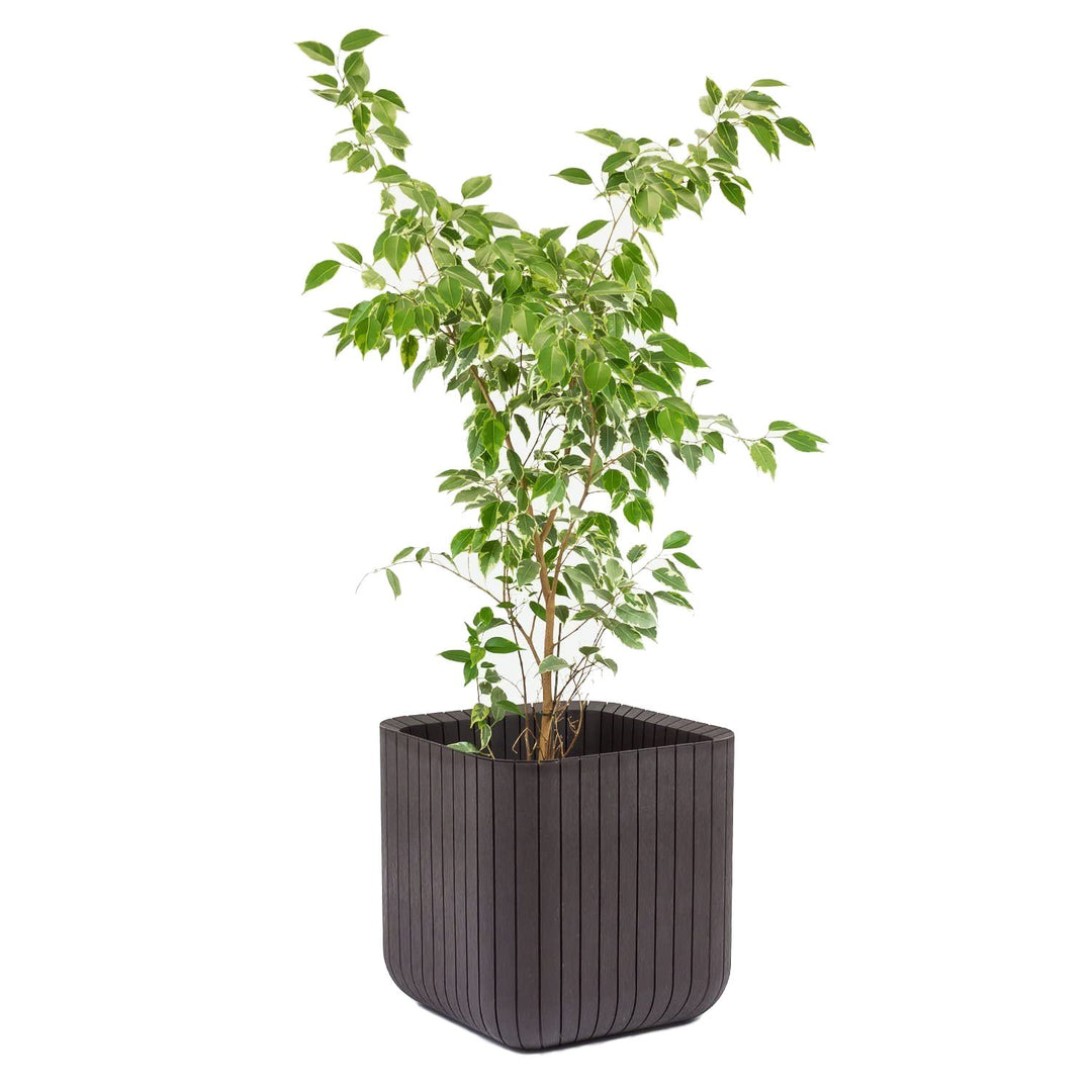 Kvetináč Keter odolný voči poškodeniu a škodlivým atmosférickým vplyvom Cube Wood Planter L antracit