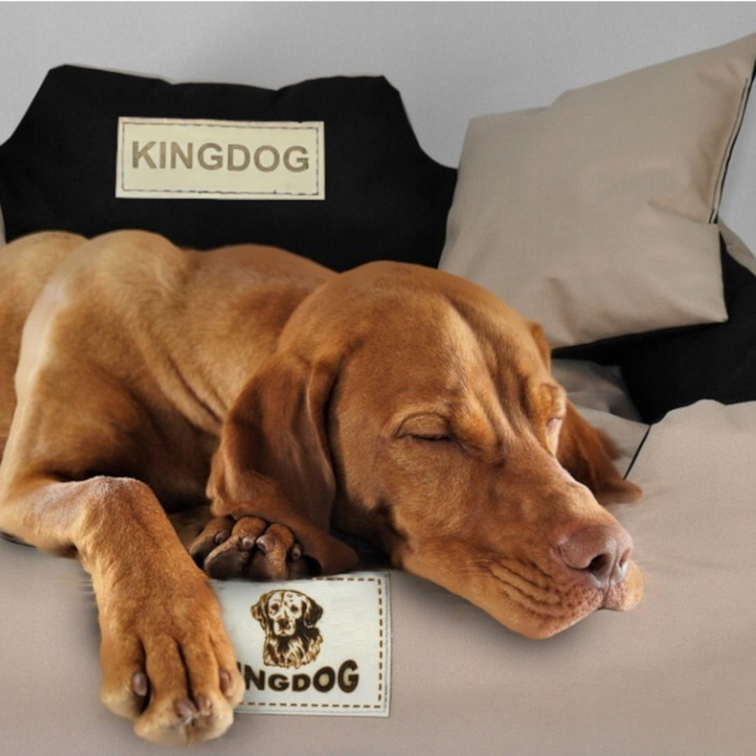 KingDog Pelech pre psov a mačky s dvoma vankúšmi Košík pre psov a mačky Umývateľný nepremokavý PVC materiál (3XL 145x115cm, béžová)