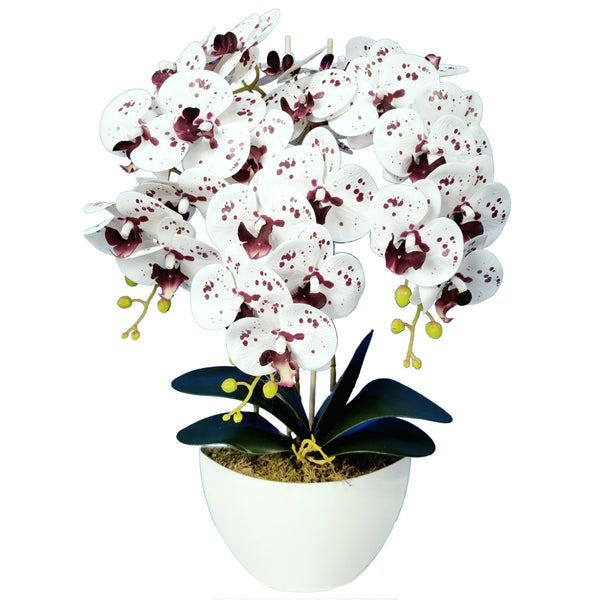 Umelá kvetinová dekorácia orchidea Damich Spotted White