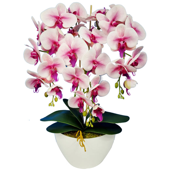 Umelá kvetinová dekorácia orchidea Damich Spotted Pink