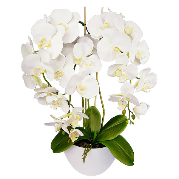 Umelé kvety dekorácie orchidea Damich Spotted White Všetky