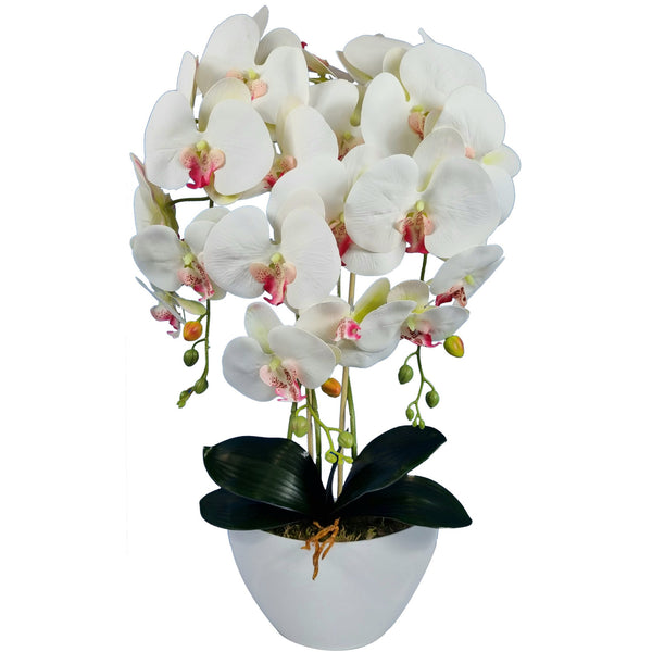 Umelá orchidea Damich, biela, ružové srdce, z gumy, 3pgb2