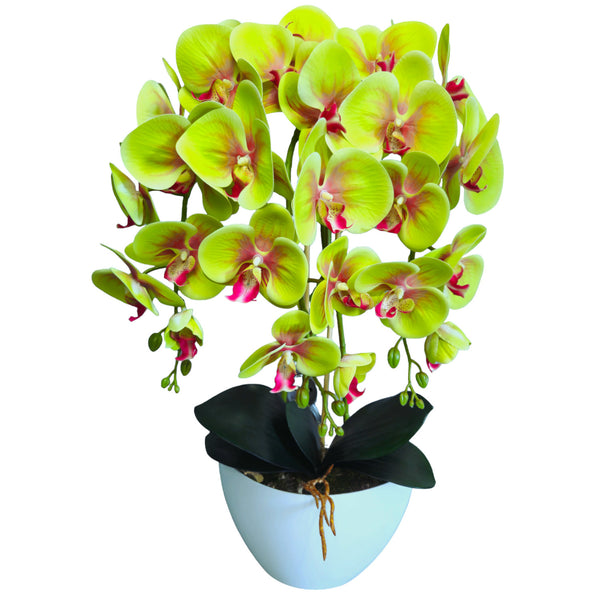 Damich dekoratívna umelá orchidea, zelená, z gumy, 3pgz